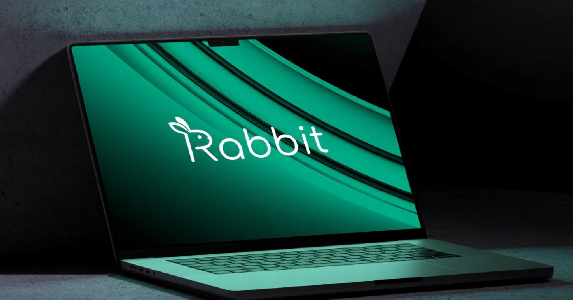 Rabbit Product